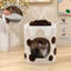 Asrani Cat Perch-314166537