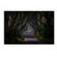 « magic road », reproduction de photo sur toile tendue-23531945