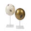 Painted Ostrich Egg Sculpture-58088230