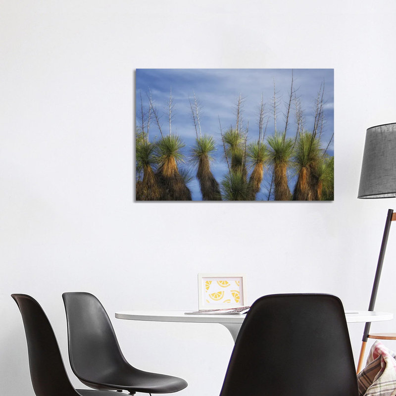 Cactus Display by Dennis Frates - Gallery-Wrapped Canvas Giclée on Canvas, 66.04 cm H x 101.6 cm W  x  3.175 cm D