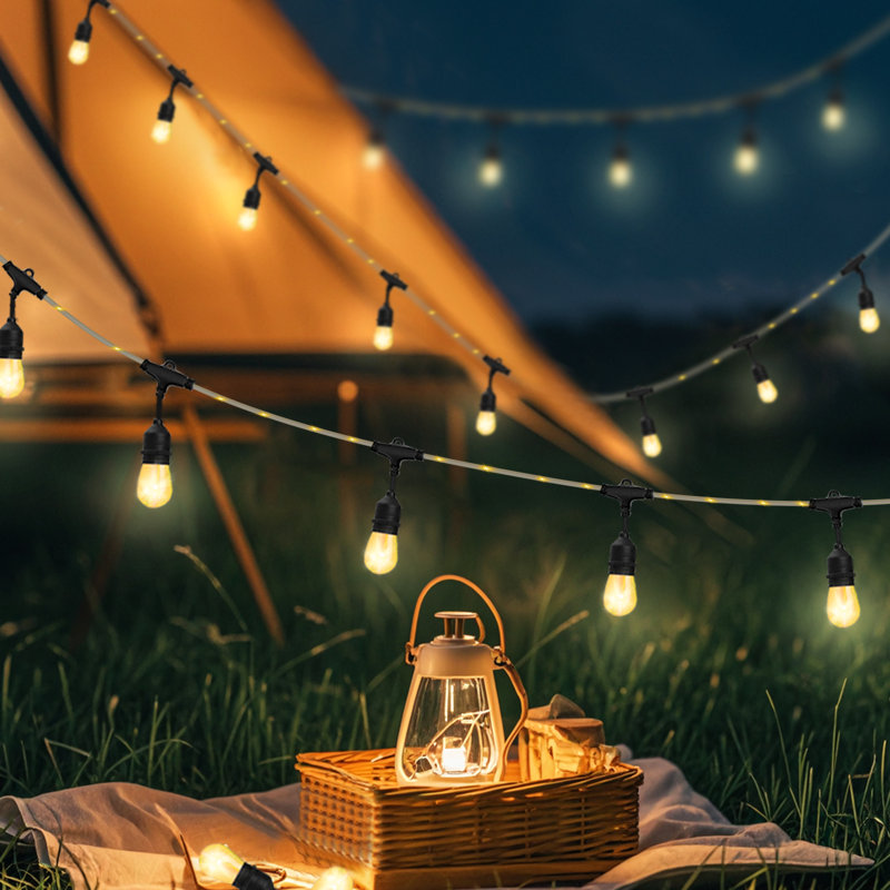 24 Ft. Black Filament String Light 12 Bulbs, Connect Up To 6