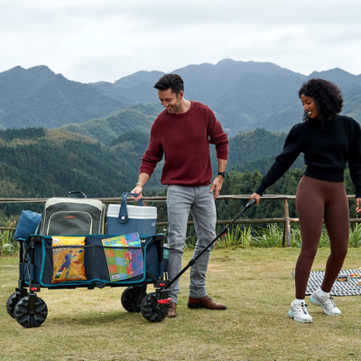 Collapsible Wagon With Brakes, Heavy Duty Utility Cart With All-Terrain Wheels, Portable Folding Wagons For Camping, Beach, Garden, Shopping, And Groc -  PET SUPPLY PLUS INC, HYC0D95RNMGC