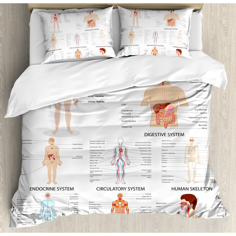 Modern & Contemporary Duvet Cover, King Duvet Cover + 2 King Shams