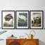 PL 210 Great Blue Heron - reproduction encadrée de qualité supérieure sur mesure mat - 3 pièces-329935796-329935794