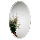 21.25'' W Mirrored Medicine Cabinet