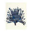Plants XII Print by Hable Construction-26774374