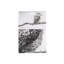 Marini Ferlazzo Cotton Waffle Tea Towel Kitchen Towel