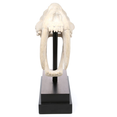 Animals Figurines & Sculptures