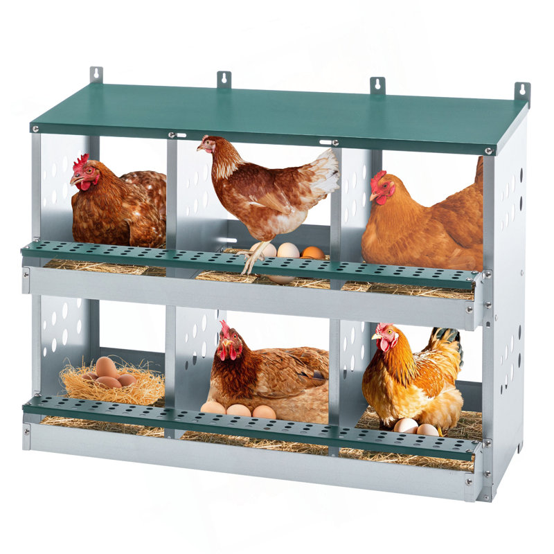 Boîte de nidification à 6 compartiments pour poules pondeuses, boîtes de poules roulantes, vert