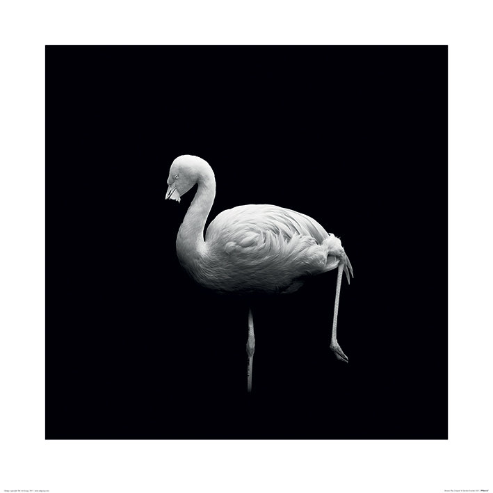 Marina Cano - No Frame Print, 40cm H x 40cm W