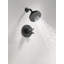 Ensemble de garniture de robinet de douche Saylor 17 Series avec pomme de douche H2Okinetic, système de douche, ensemble de robinet de douche, pomme de douche et poignée, noir mat (valve non incluse)-74993313
