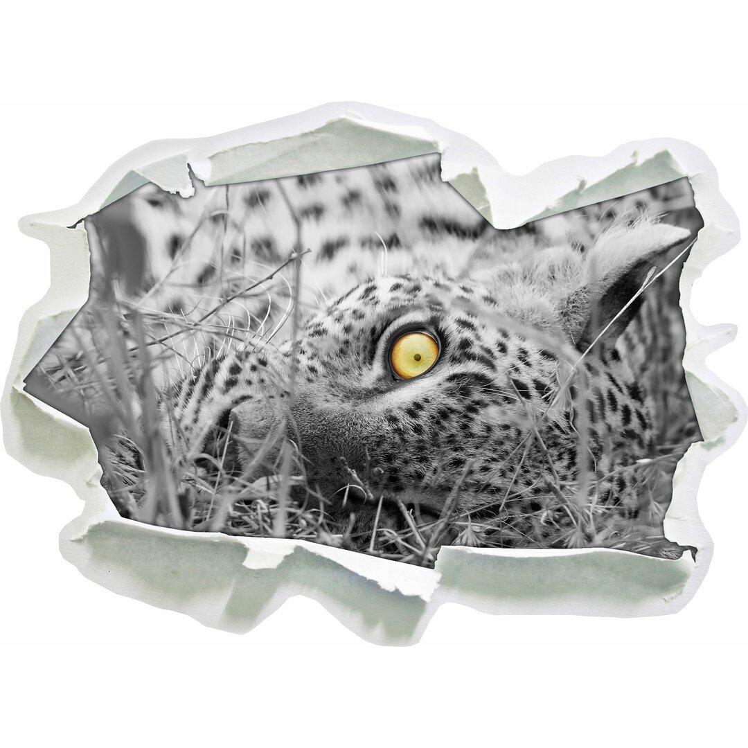 Aufmerksamer liegender Leopard Wandsticker