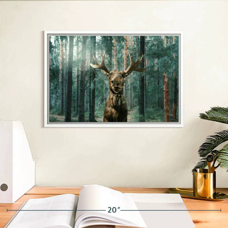 Orignal sauvage, Cadre flottant blanc, 13 po x 9 po
