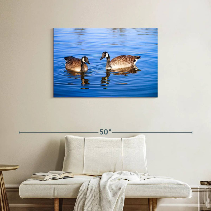 Crowle Two Geese In A Pond