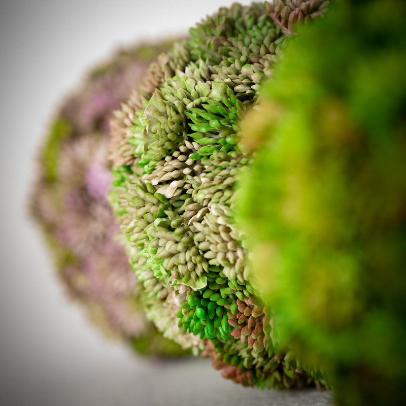 Ensemble de 3 topiaires en sherum artificiel Hatherleigh