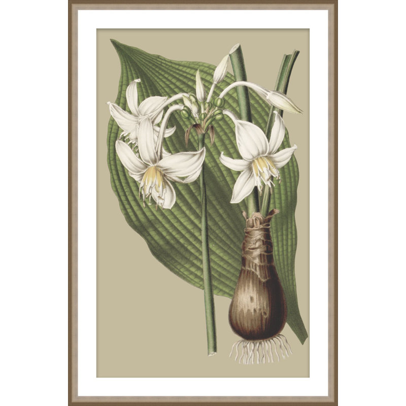 Botanical Jungle 2 Print, 51.75" H x 33.75" W