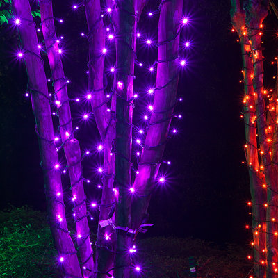 LED Mini Christmas Shatter Resistant 50 Light String Lighting