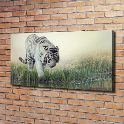 White Tiger - Wrapped Canvas Print