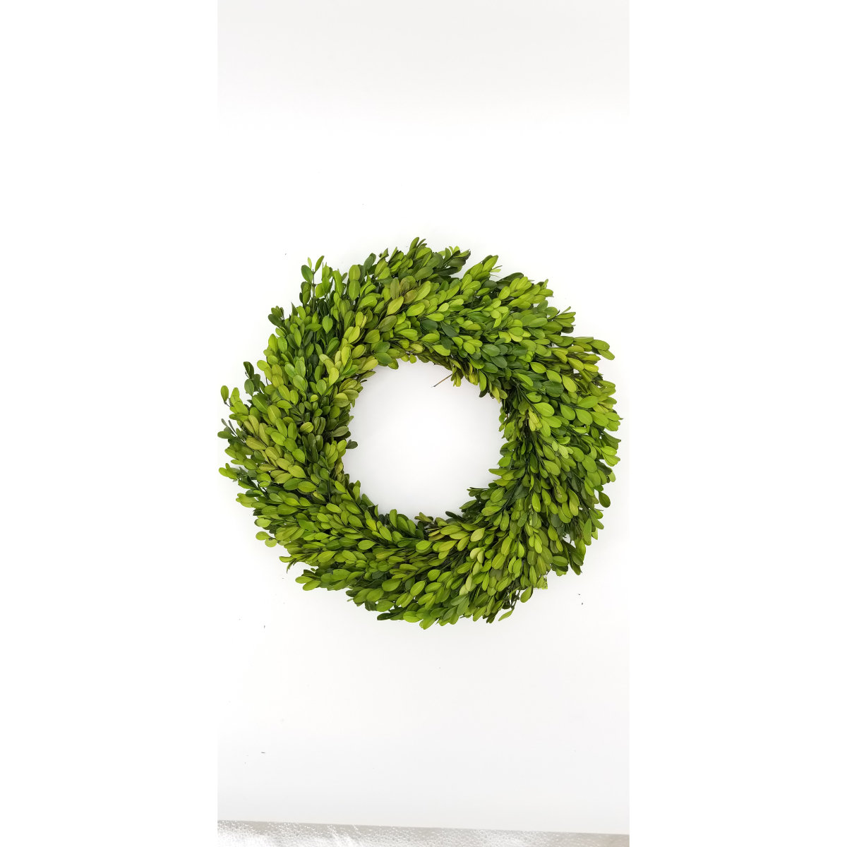 The Holiday Aisle® Preserved Greenery Wreath & Reviews | Wayfair