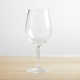 Laya Indoor/Outdoor Red Wine Glass