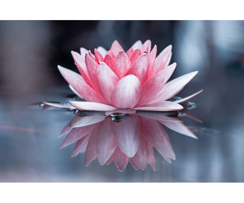 Wrapped Canvas Print, 81.28 cm H x 121.92 cm W