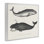 «Vintage Whale Study Diagrams», dessin de Phillipa Katz