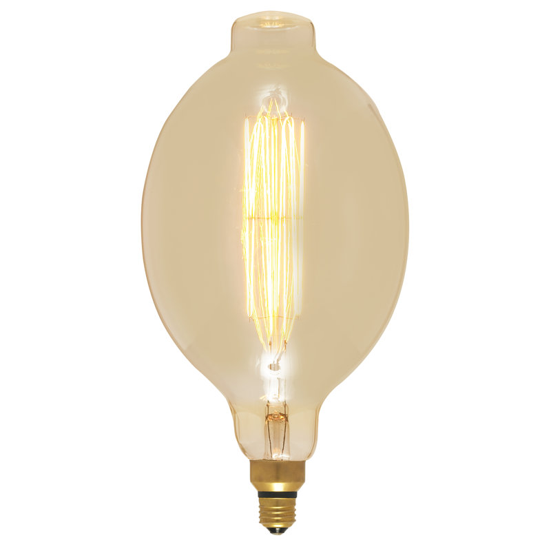 60 watts, ampoule incandescente à intensité variable BT56, base E26 / moyenne (standard)