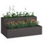 Planter Box-243940817