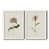Toile avec cadre blanc