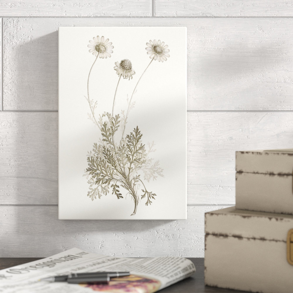 'Neutral Botanical Study VIII' Painting on Canvas Gracie Oaks 