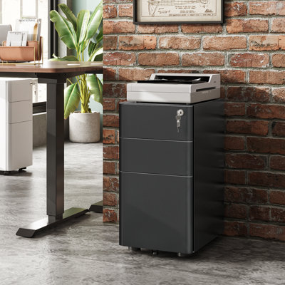 3-Drawer Slim Vertical File Cabinet, Fully Assembled Except Casters, Legal/Letter Size by Ebern Designs