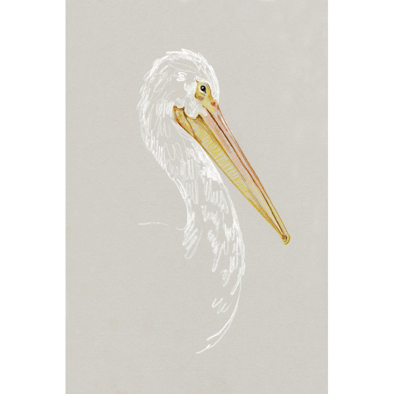Bright Pelican Sketch II - Wrapped Canvas Print, 46cm H x 30cm W x 3.8cm D