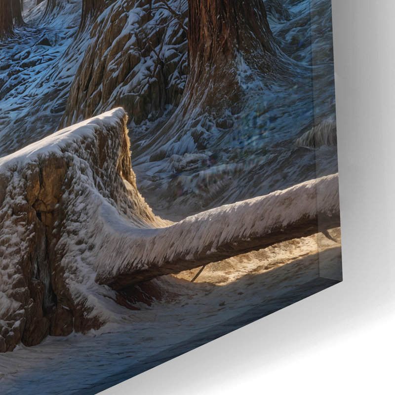  «Deer Winter Forest» par Rey Klimt, art mural en verre acrylique, H 12 po x l 24 po