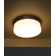 Devontra LED Flush Mount