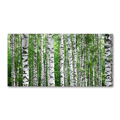 Birches - Wrapped Canvas Print
