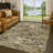 Machine Washable Indoor/Outdoor Chantille ACN2433 Traditional Rug-2084630331-2084630309