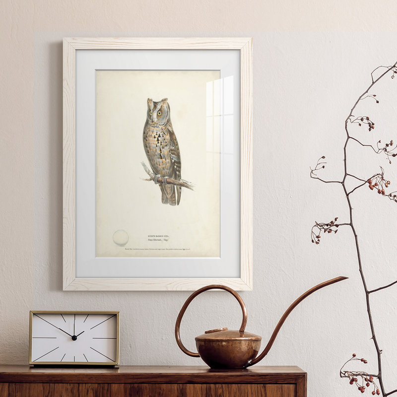 " Scops- Eared Owl ", 32" H x 23" W x 1" D, White Framed