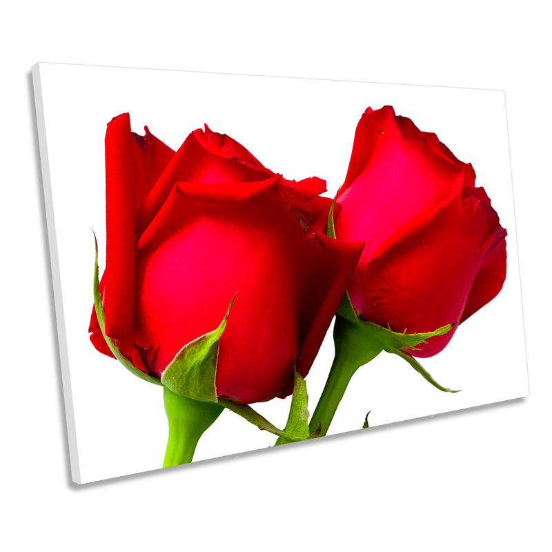 Pair Of Roses Floral Flower - Wrapped Canvas Art Prints, 30.5cm H x 45.7cm W