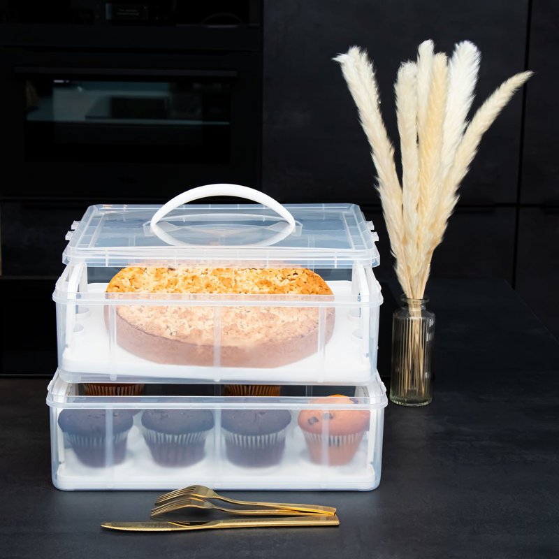 Canepa Food Storage Container, Transparent/Purple/Orange/Yellow/Blue/Green
