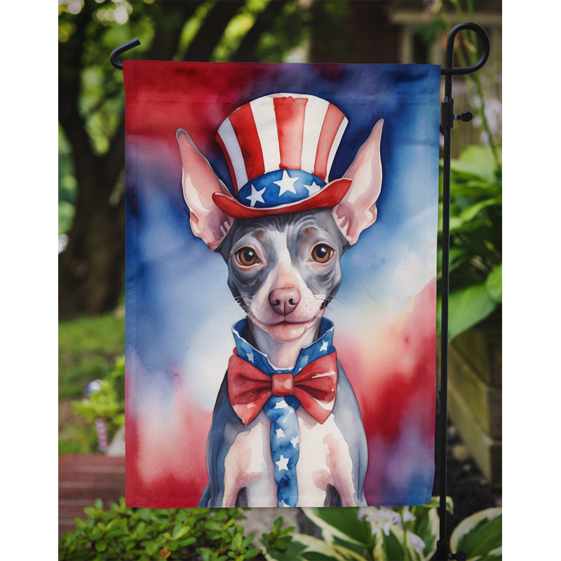 Drapeau patriotique du jardin américain, Terrier américain sans poil