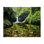 «Punchbowl Falls in Emerald Forest», conception par Dennis Frates