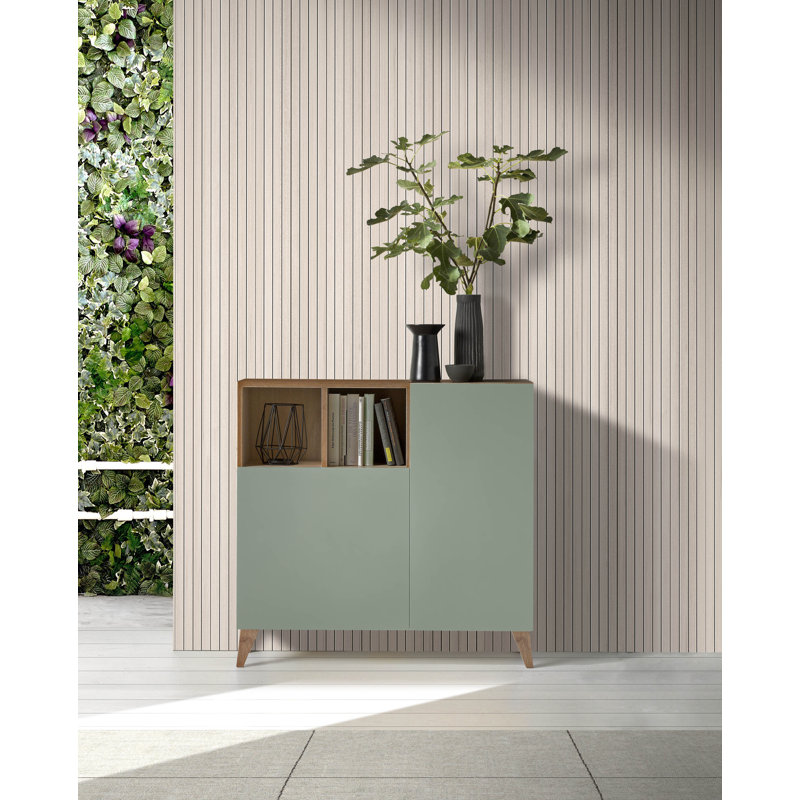 12 Pair Shoe Storage Cabinet, Walnut/Green