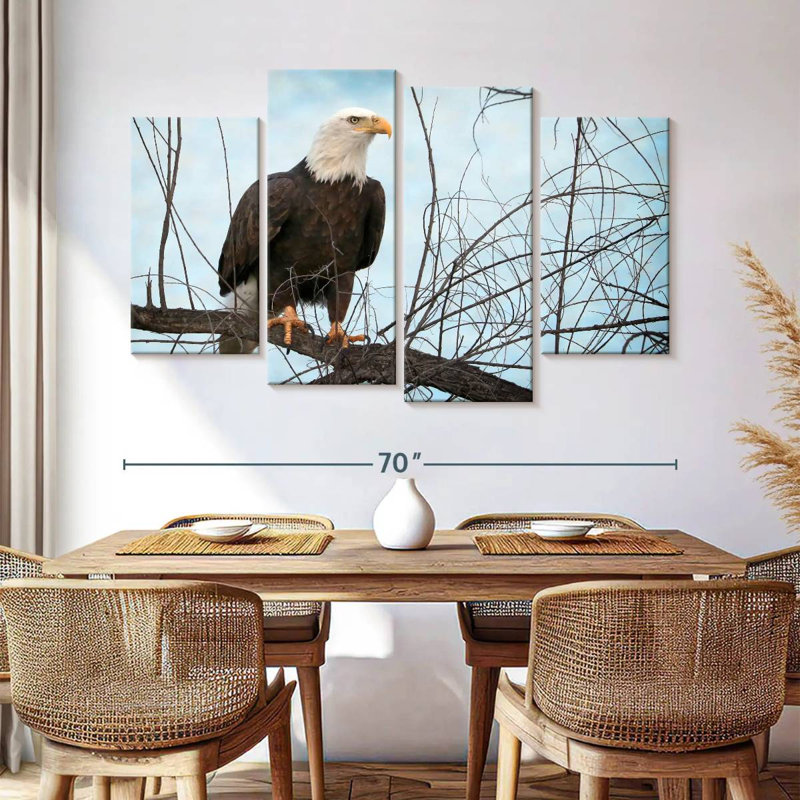 North American Bald Eagle Portrait, H 42 po x l 68 po