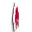 Gruia Wall Decor