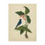 «Bird And Botanical IV», reproduction d'impression sur toile tendue-33521059
