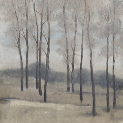 Soft Light II by Tim O'Toole - Wrapped Canvas Painting
