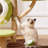 5 Tiers Cat Tree with Condons,Perch,Scratching Posts