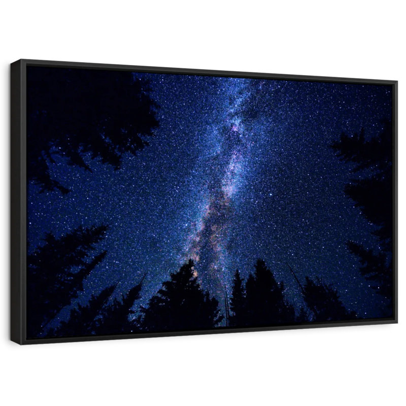Impression sur toile Woodlands Milky Way, H 29 po x l 43 po