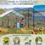 Emmeric Walk In Chicken Run-284586943-335317304
