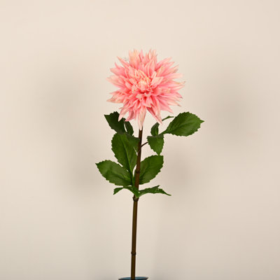 Arrangement floral 28 po Dahlia